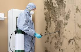 Best Crawl Space Mold Remediation  in Hughson, CA